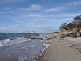 Darß Weststrand