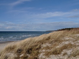 Darß Ostsee