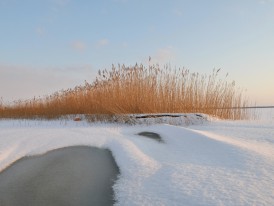 Bliesenrade im Winter